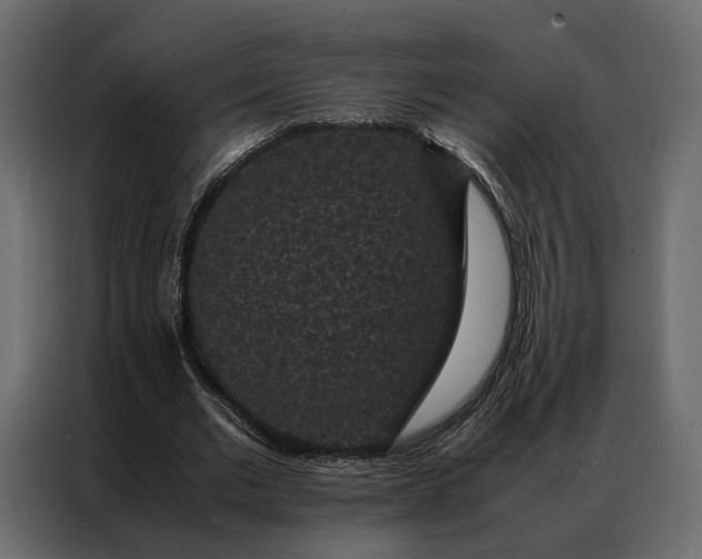 X0000086890677200705071223