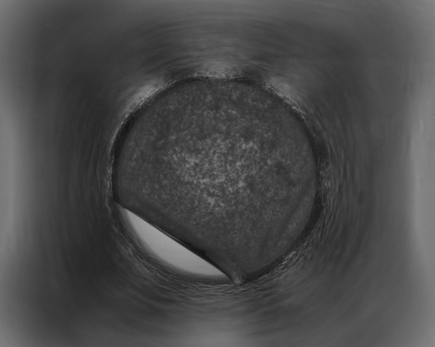 X0000086890679200705071223