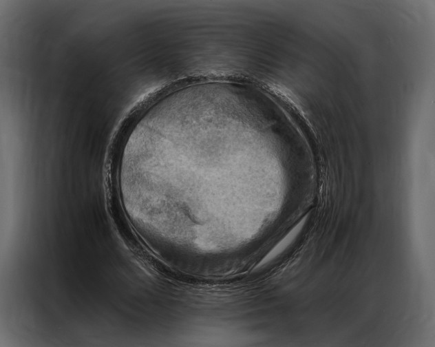 X0000086890680200705071223