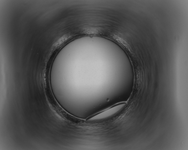 X0000086890682200705071223