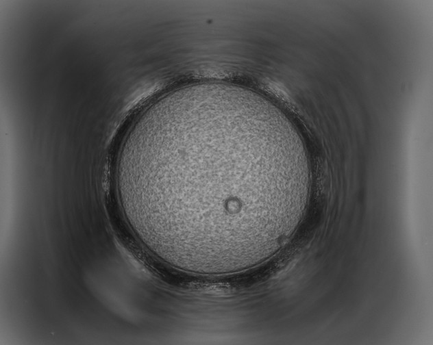 X0000086890683200705071223