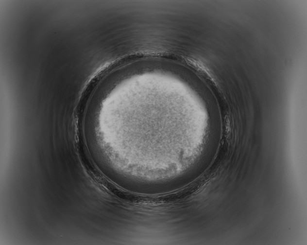 X0000086890684200705071223