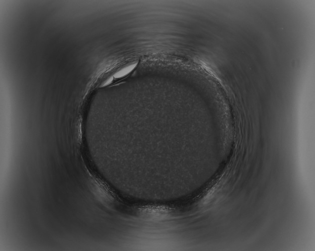 X0000086890685200705071223