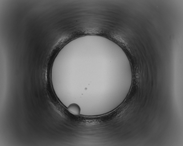 X0000086890686200705071223