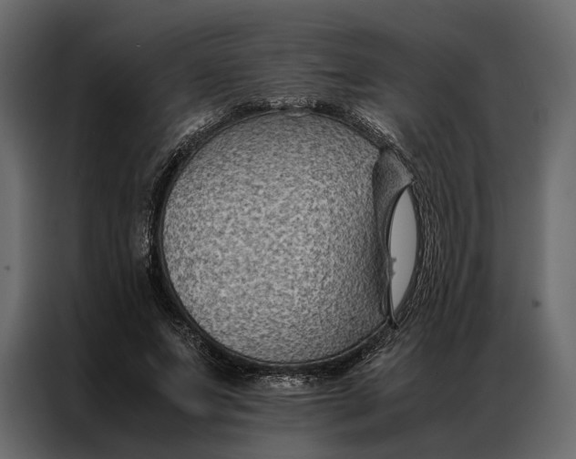 X0000086890687200705071223