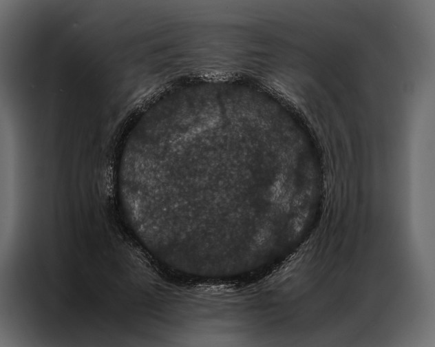 X0000086890689200705071223