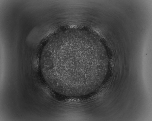 X0000086890691200705071223