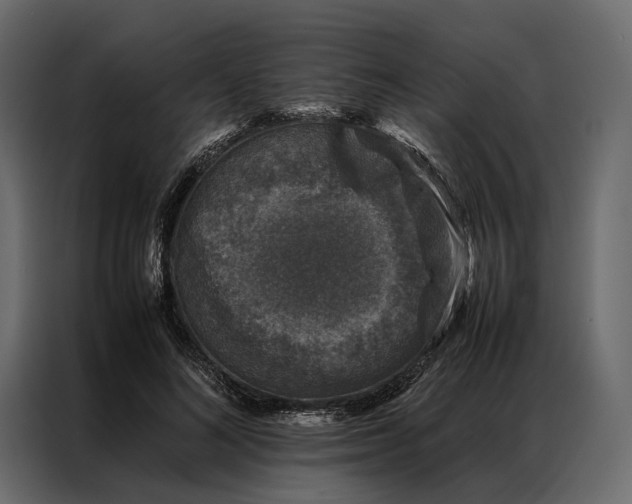 X0000086890692200705071223