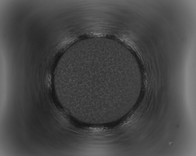 X0000086890693200705071223