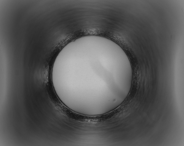 X0000086890694200705071223