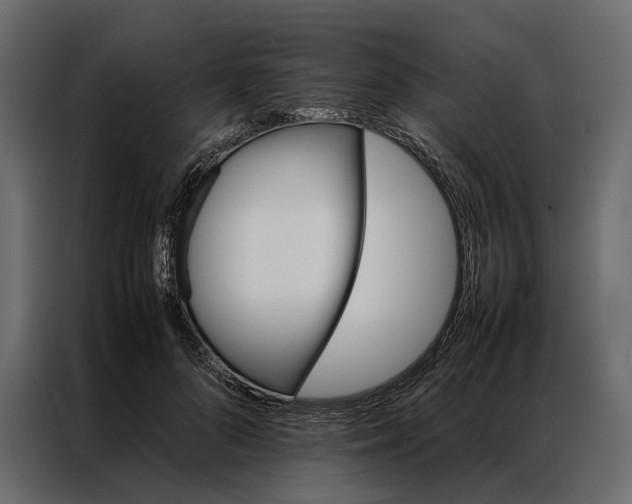 X0000086890696200705071223