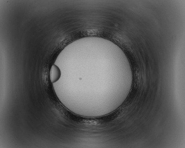 X0000086890698200705071223