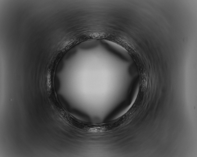 X0000086890700200705071223