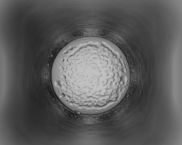 X0000086890701200705071223