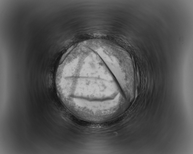 X0000086890704200705071223