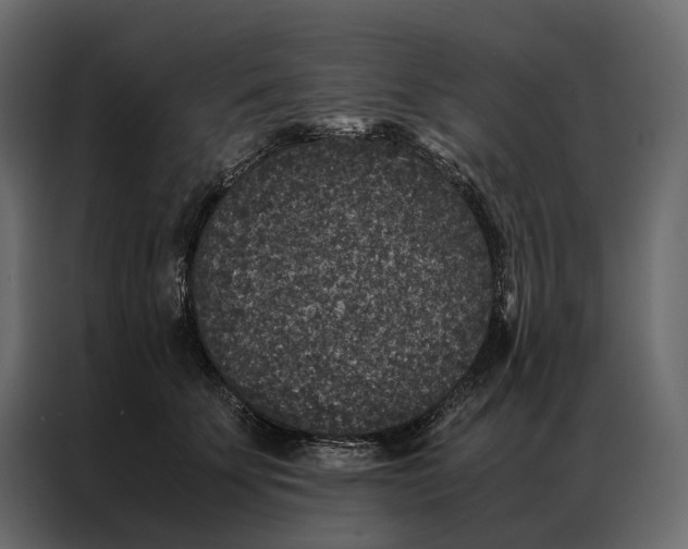 X0000086890707200705071223