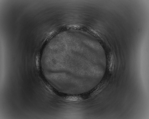 X0000086890708200705071223