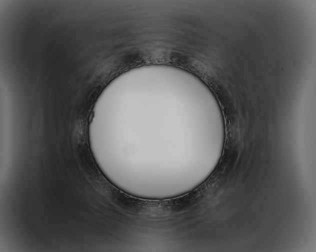 X0000086890709200705071223