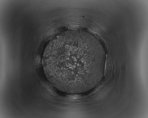 X0000086890711200705071223