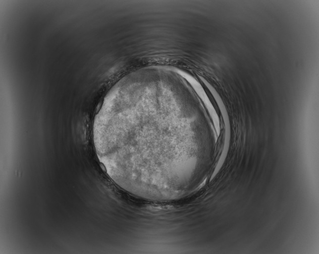 X0000086890712200705071223