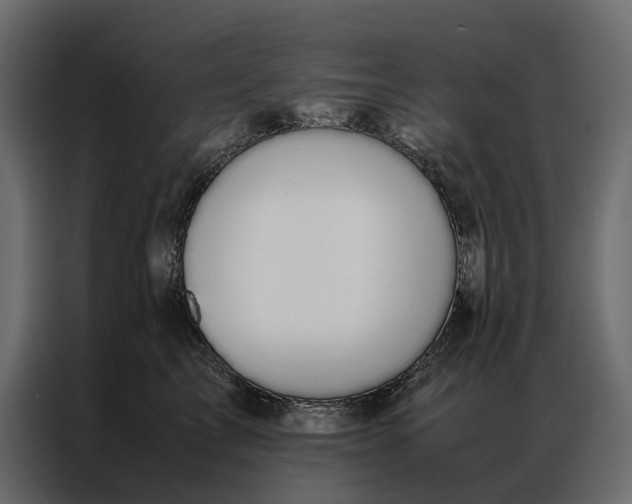 X0000086890713200705071223