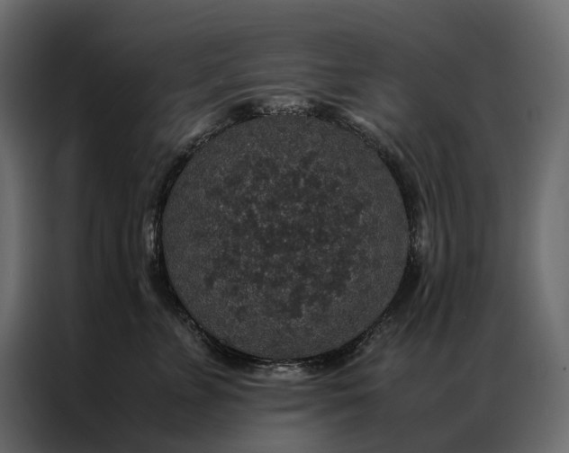 X0000086890715200705071223