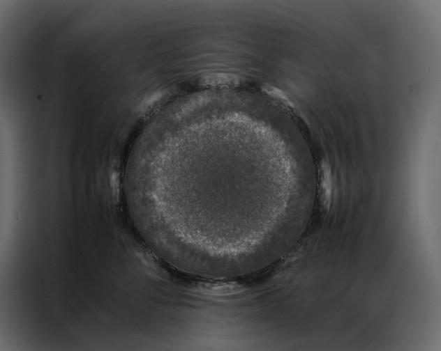 X0000086890716200705071223