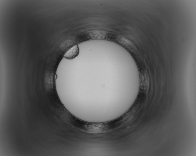 X0000086890717200705071223