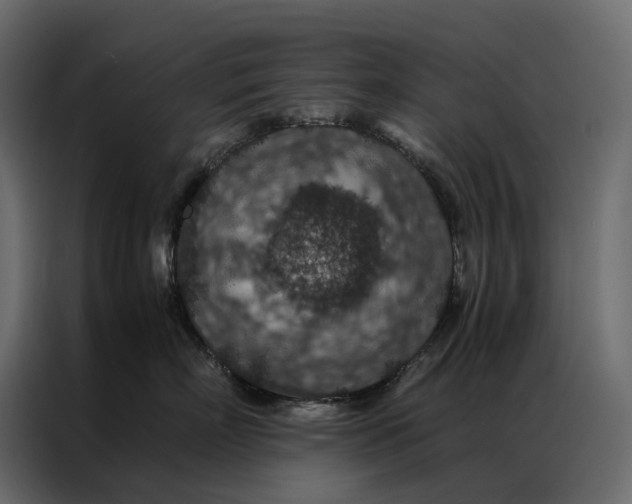 X0000086890718200705071223