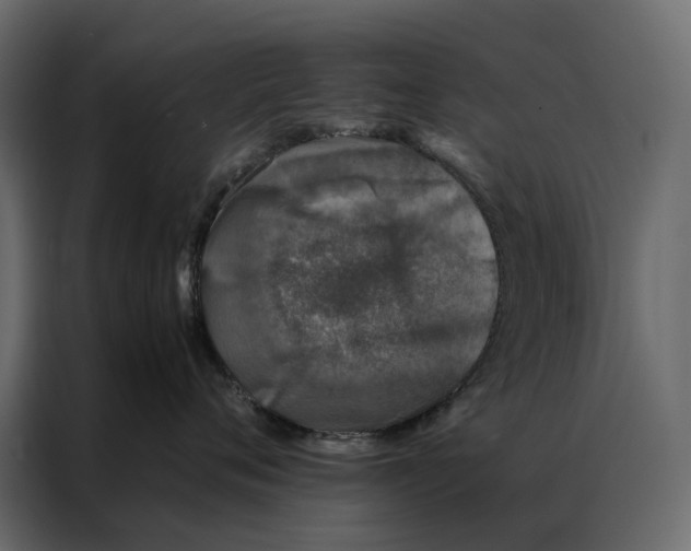 X0000086890720200705071223