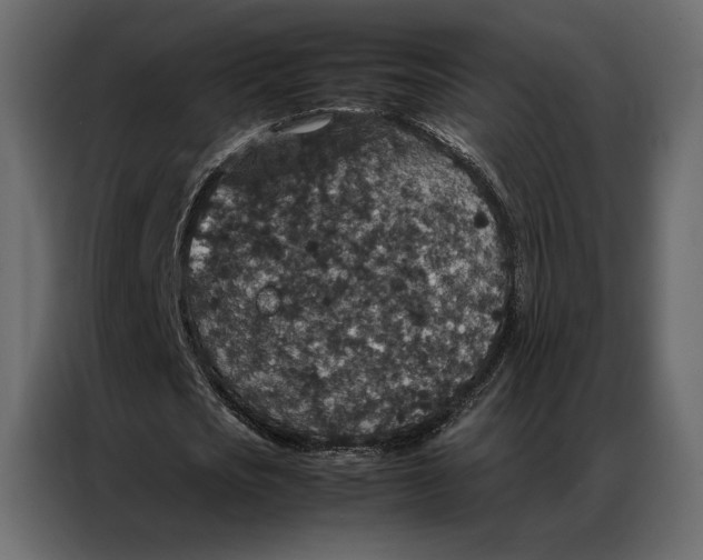 X0000086890721200705071222