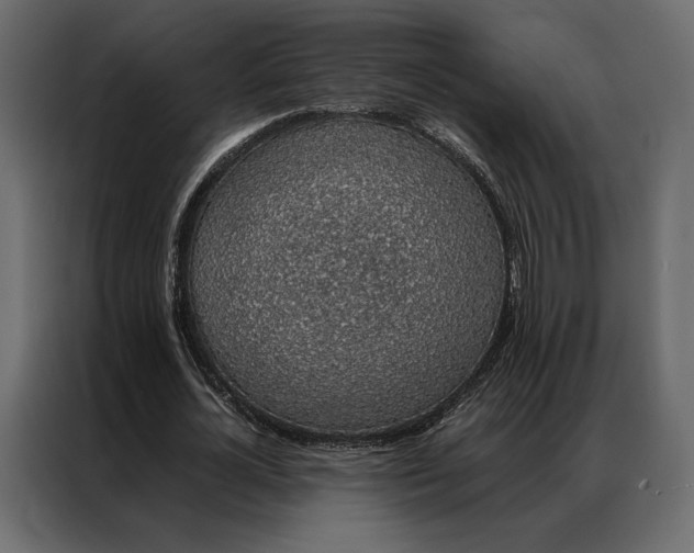 X0000086890724200705071222