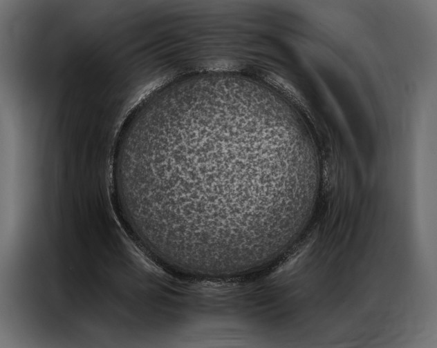 X0000086890725200705071222