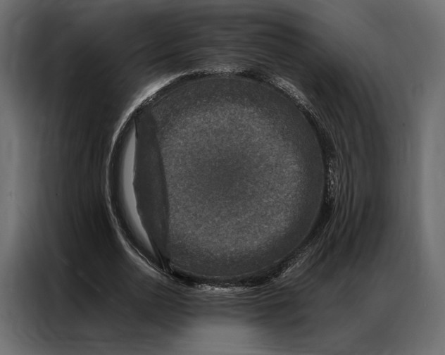 X0000086890726200705071222