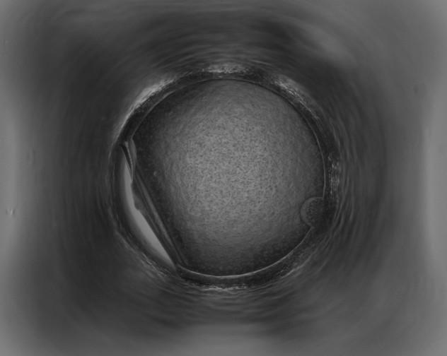 X0000086890727200705071222