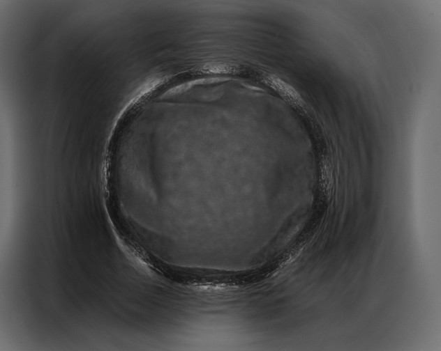 X0000086890730200705071222