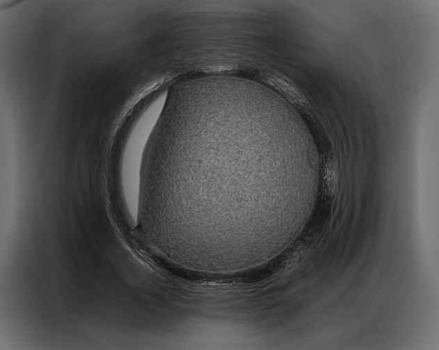 X0000086890732200705071222