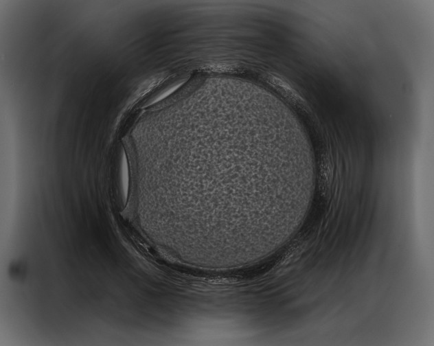 X0000086890734200705071222