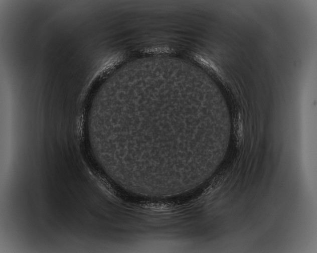 X0000086890735200705071222