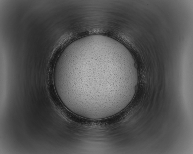 X0000086890738200705071222