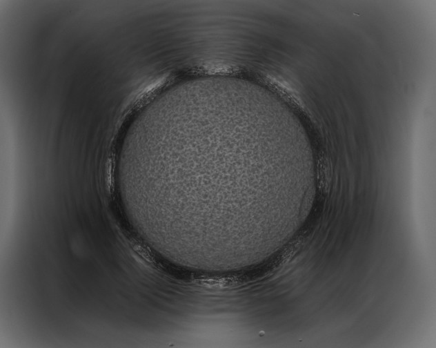 X0000086890740200705071222