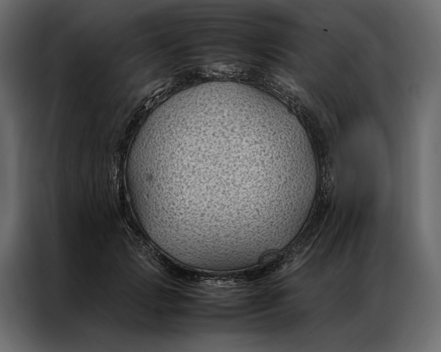 X0000086890749200705071222