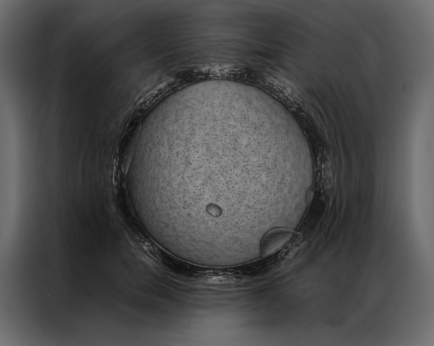 X0000086890750200705071222