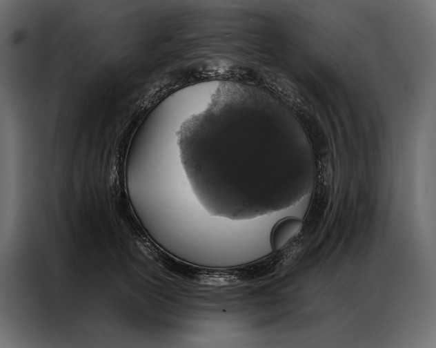 X0000086890754200705071222