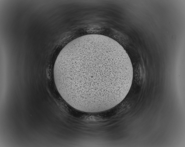 X0000086890755200705071222