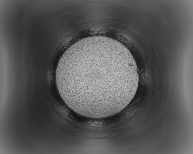 X0000086890756200705071222