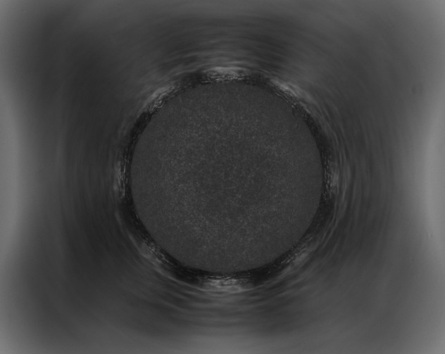 X0000086890759200705071222