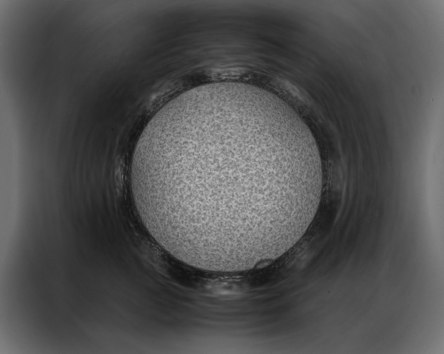 X0000086890761200705071223