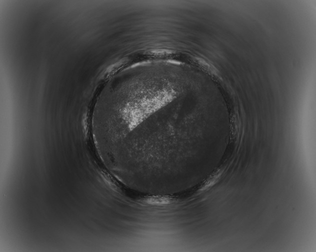 X0000086890762200705071223