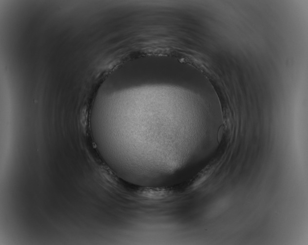 X0000086890767200705071223